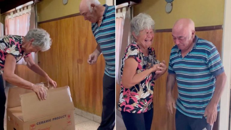 grandparents and a puppy