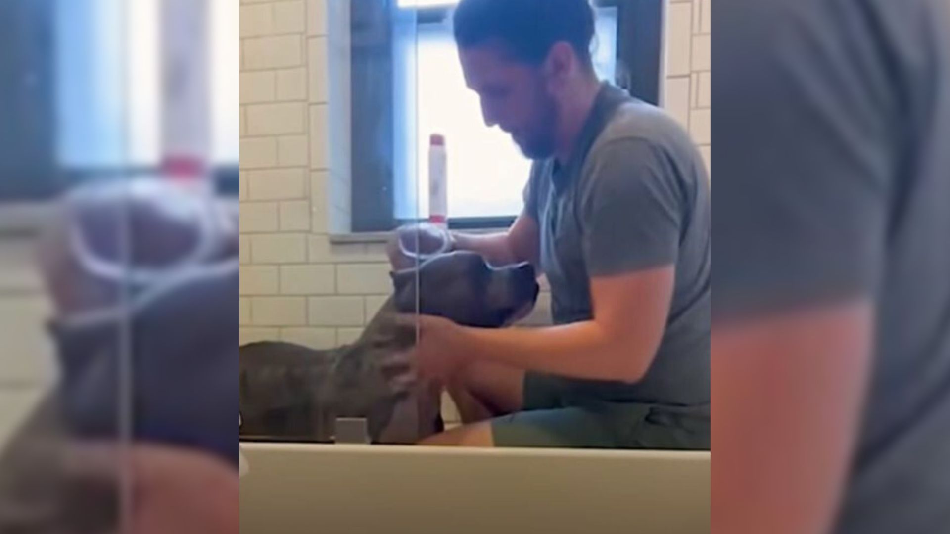 Pittie Who Spent 150 Days In Shelter Does The Sweetest Thing With His Fosters Every Morning