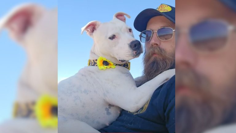 man holding a dog