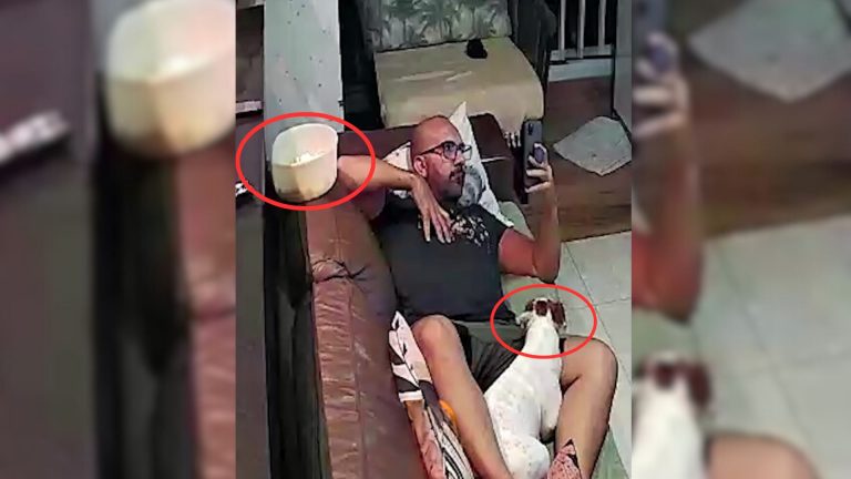 owner and dog laying together