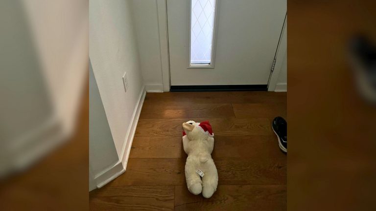 dog with toy by the door