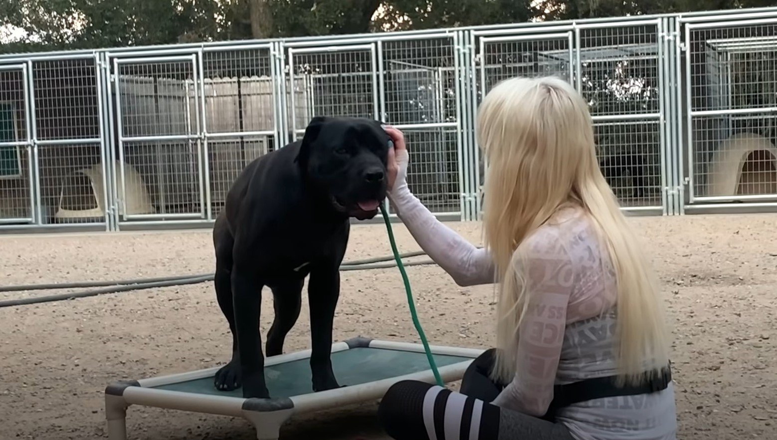 blonde woman and black dog