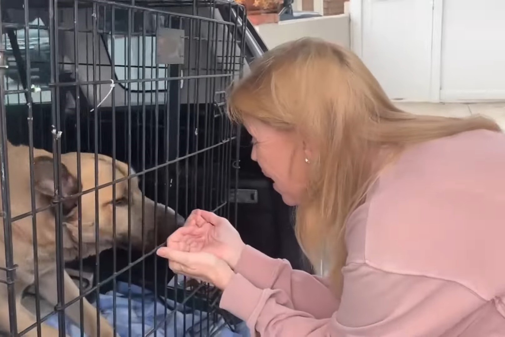 blonde woman and dog in a box