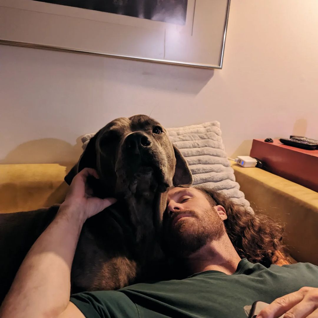 dog and owner sleeping together