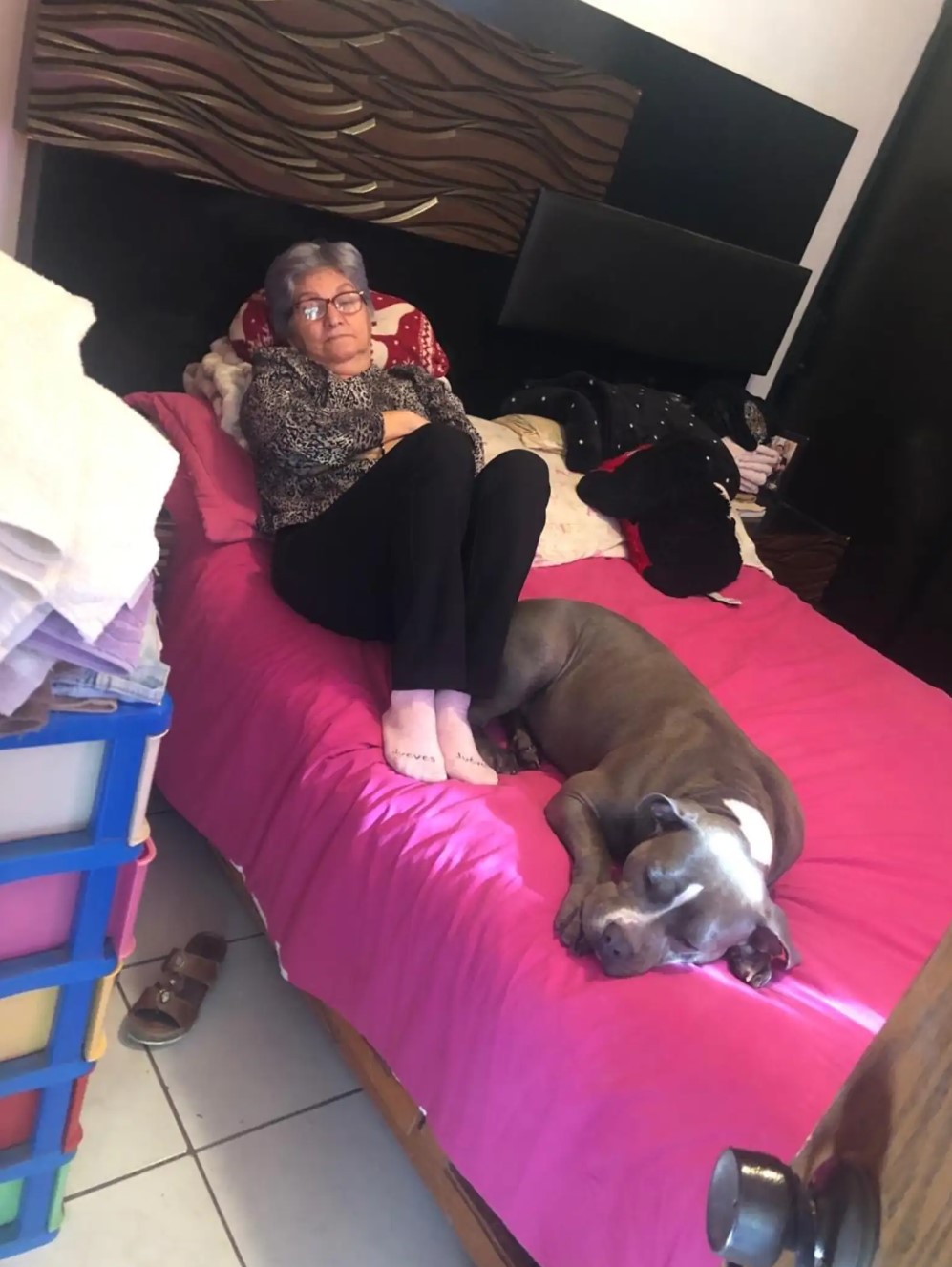 dog sleeps with granny on the bed
