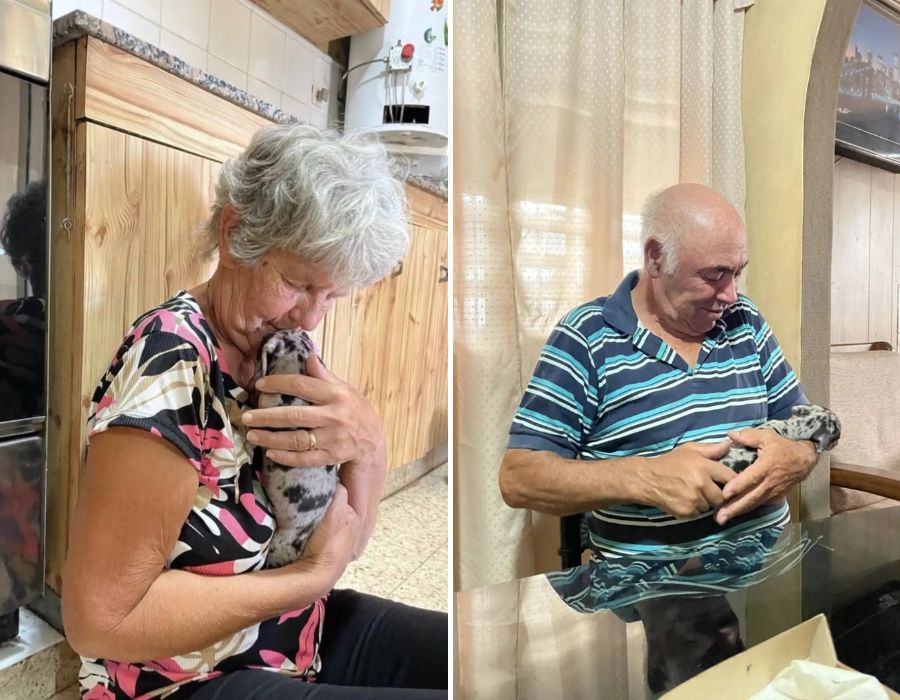grandparents holding a puppy