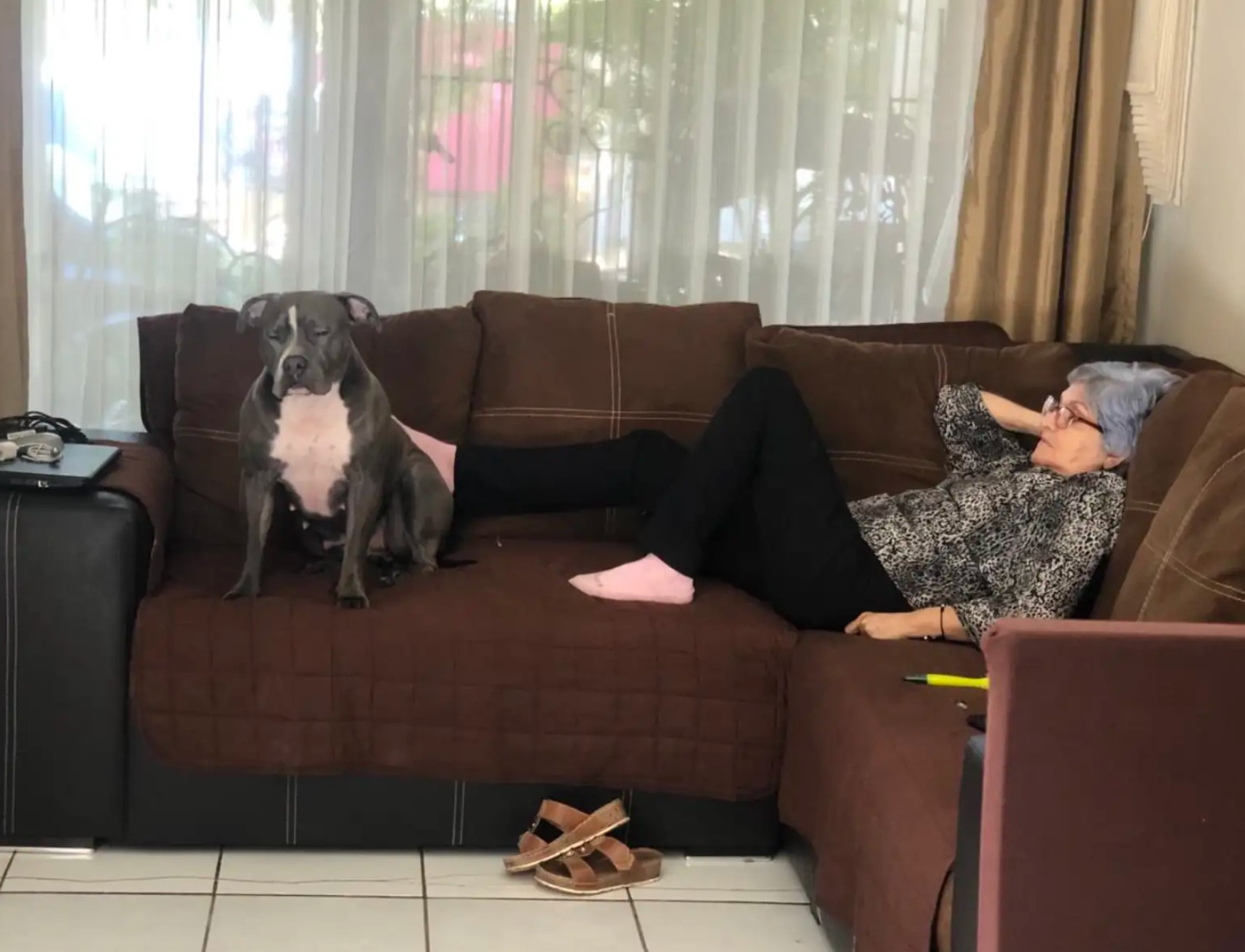 granny with dog on the couch