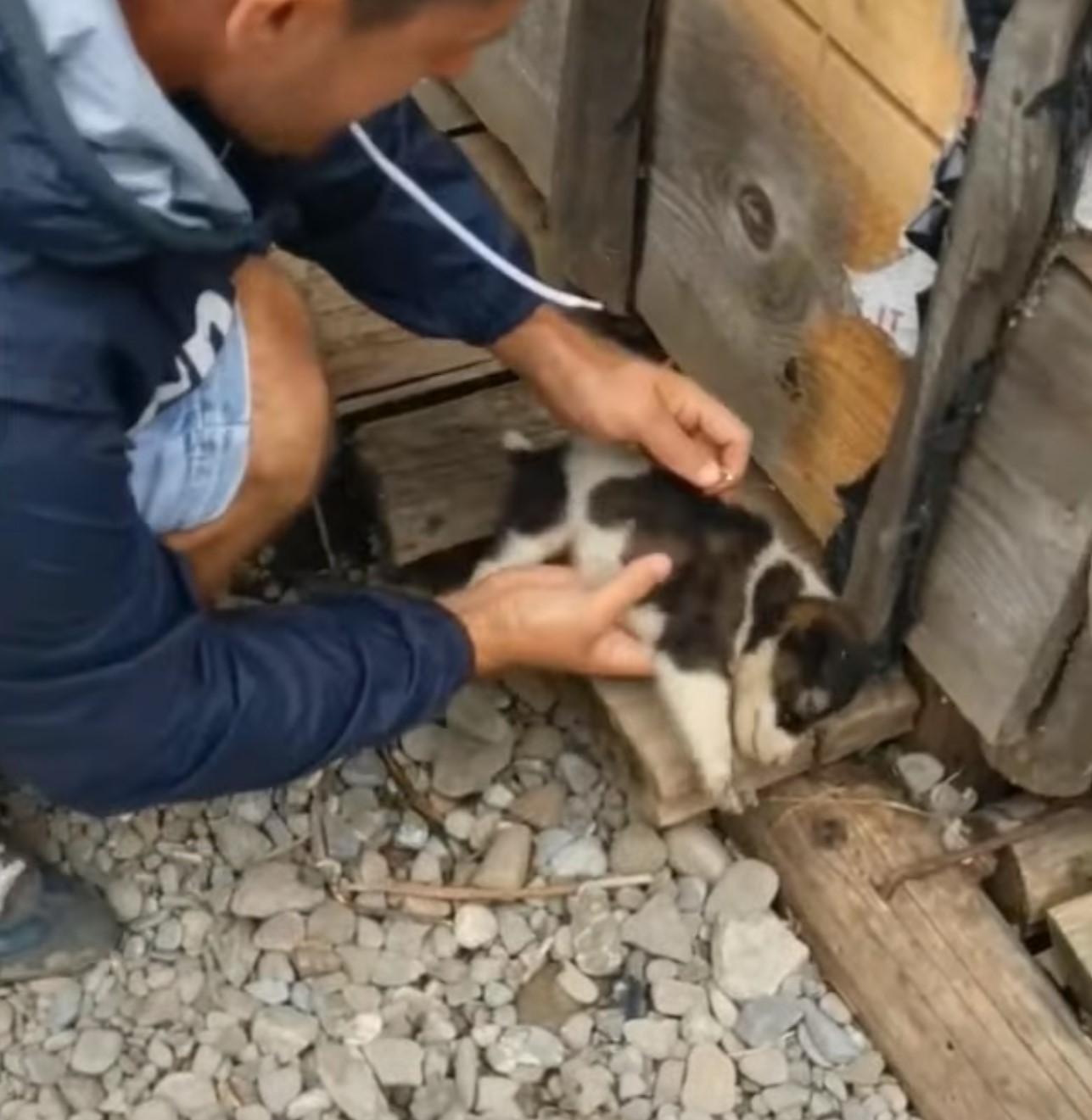 man helping puppy