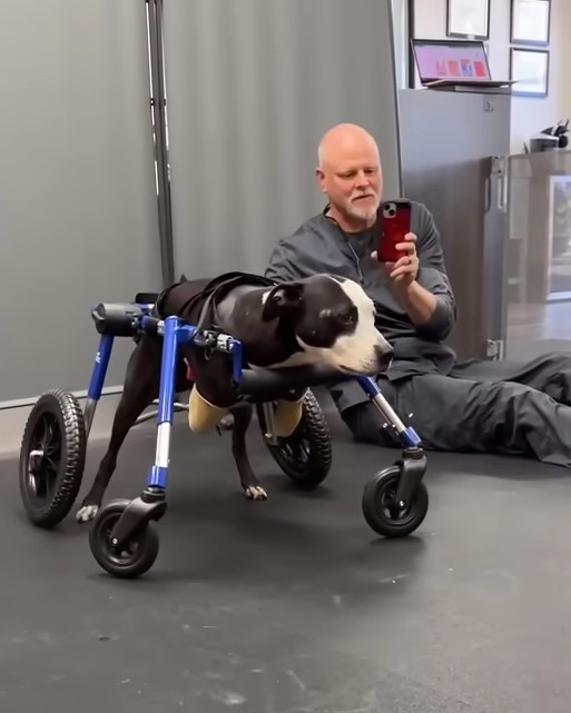 man taking picture of a dog with fake legs