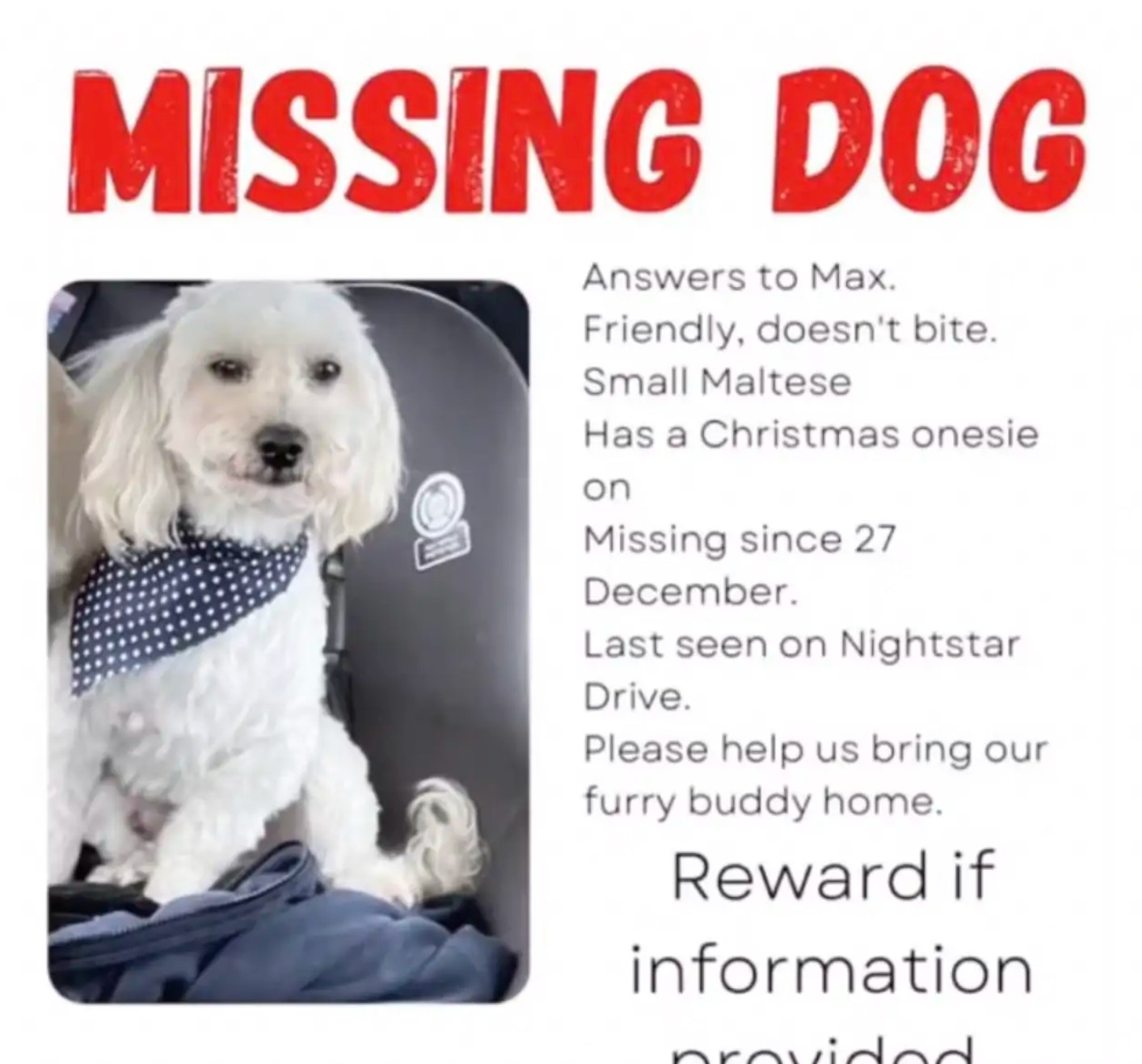 missing poster