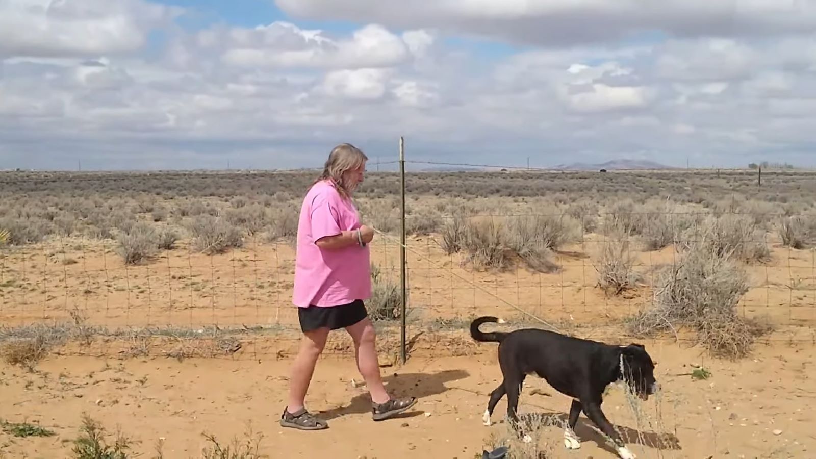 old guy walking a dog