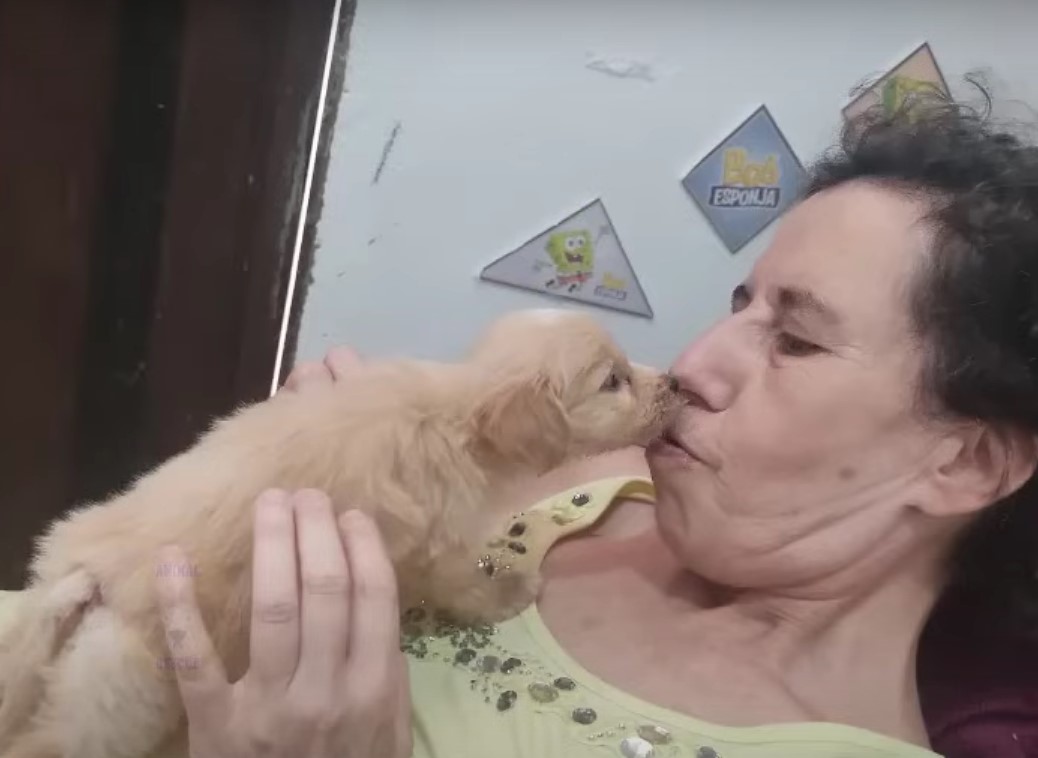 old woman kissing a dog