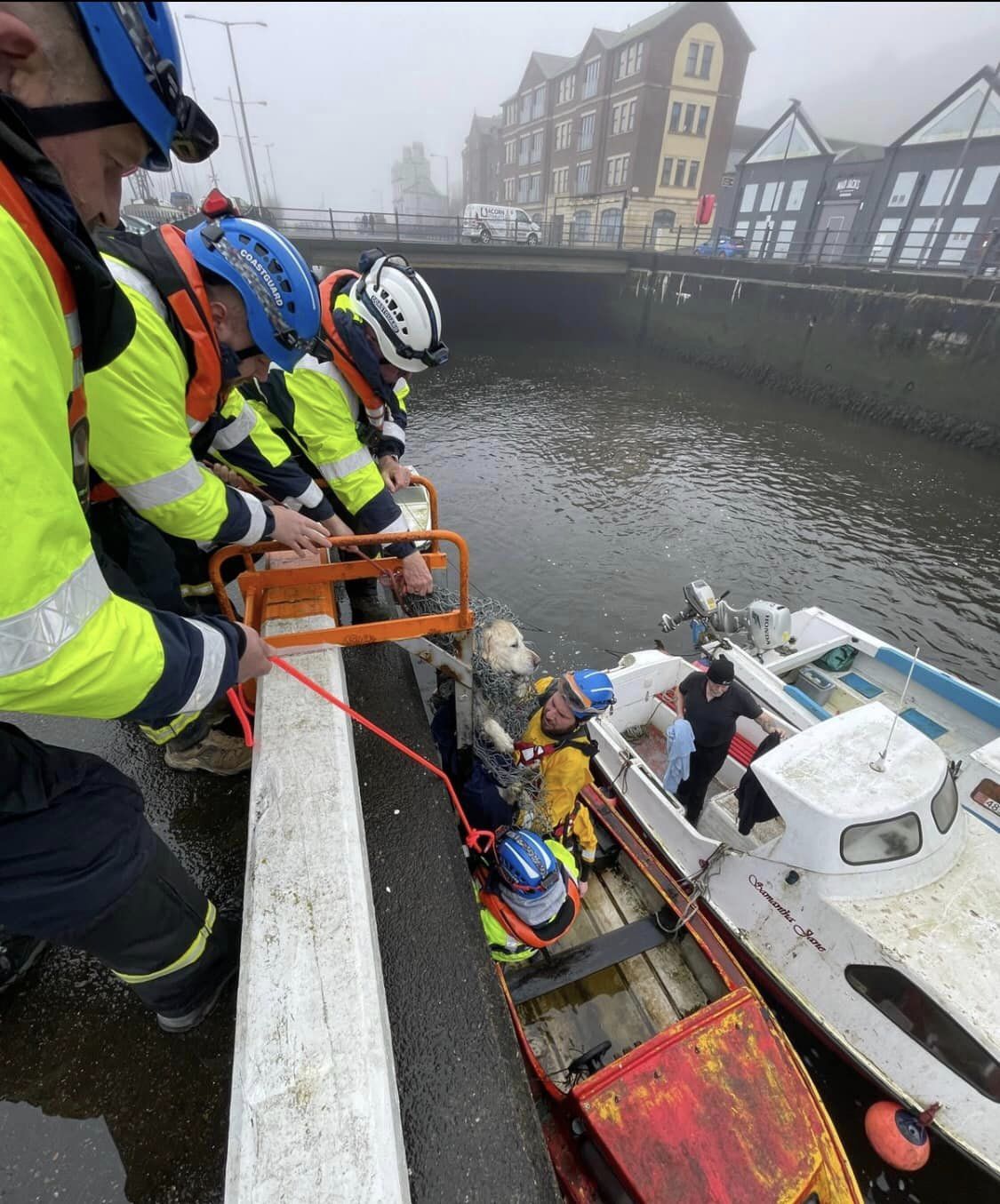 rescuing dog from water