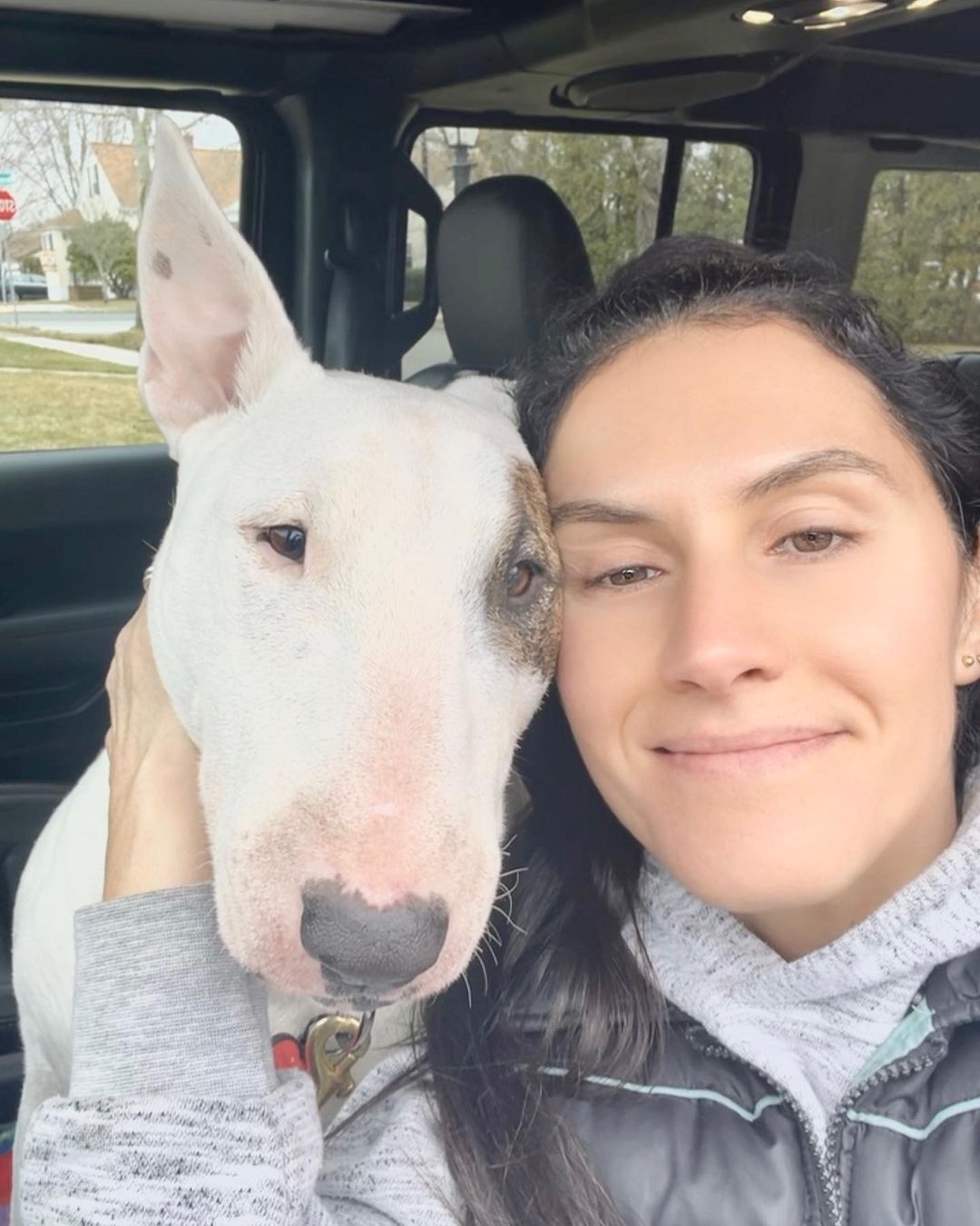 woman and cute dog in a car