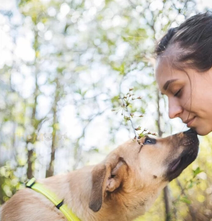 woman and dog