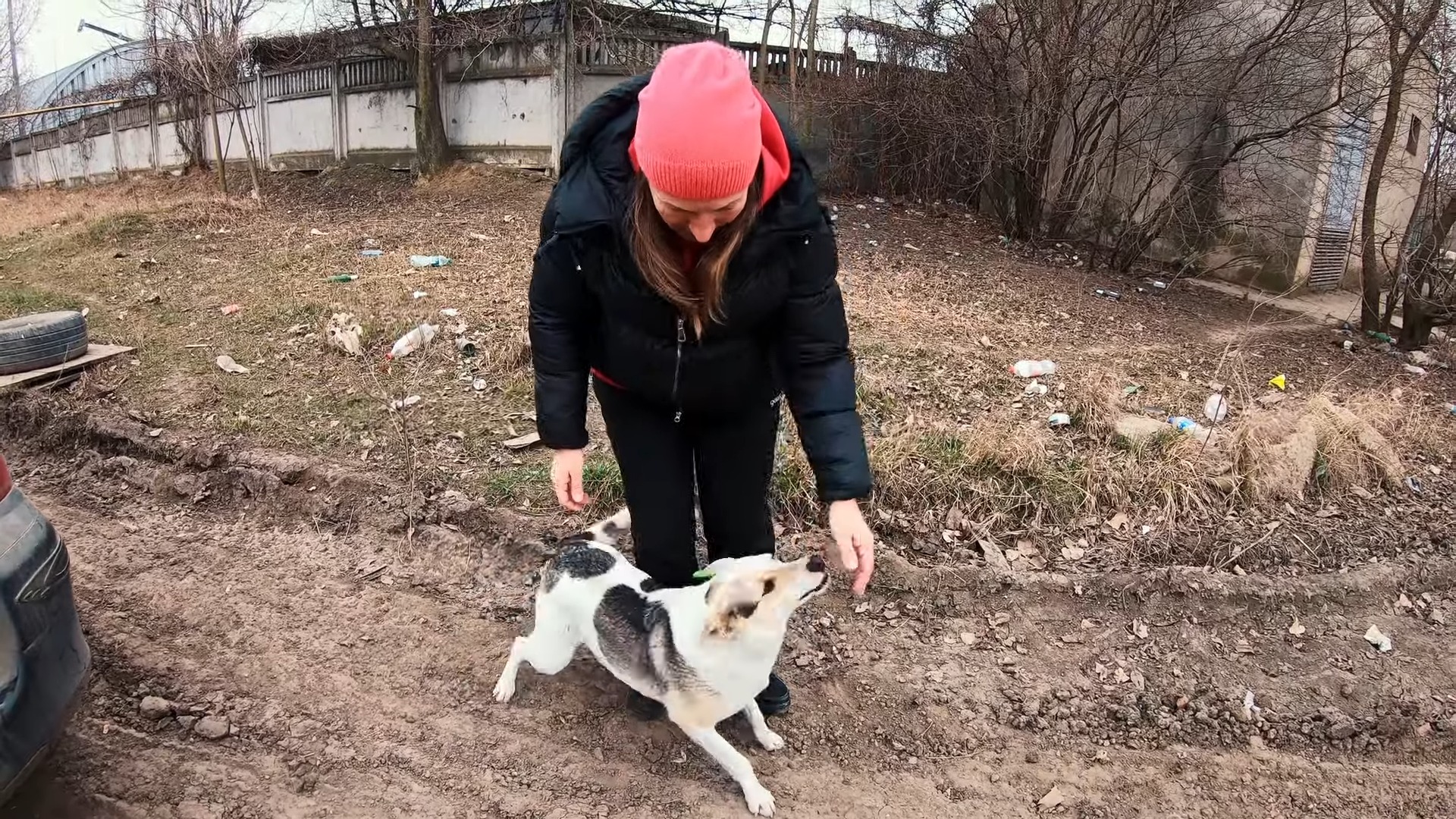 woman helping starving dog
