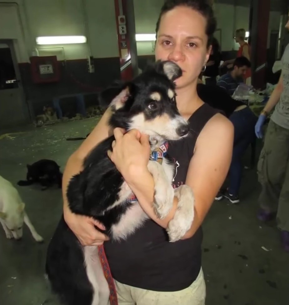 woman holding a puppy