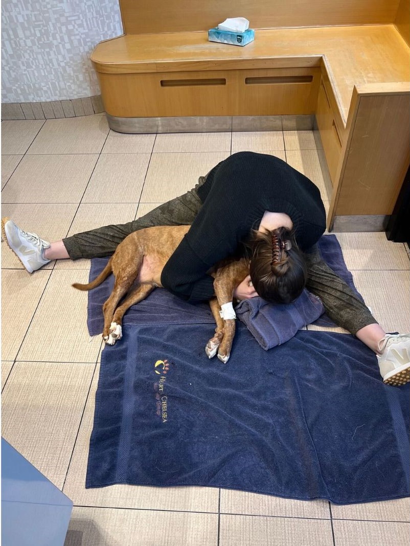 woman hugging dog on the floor