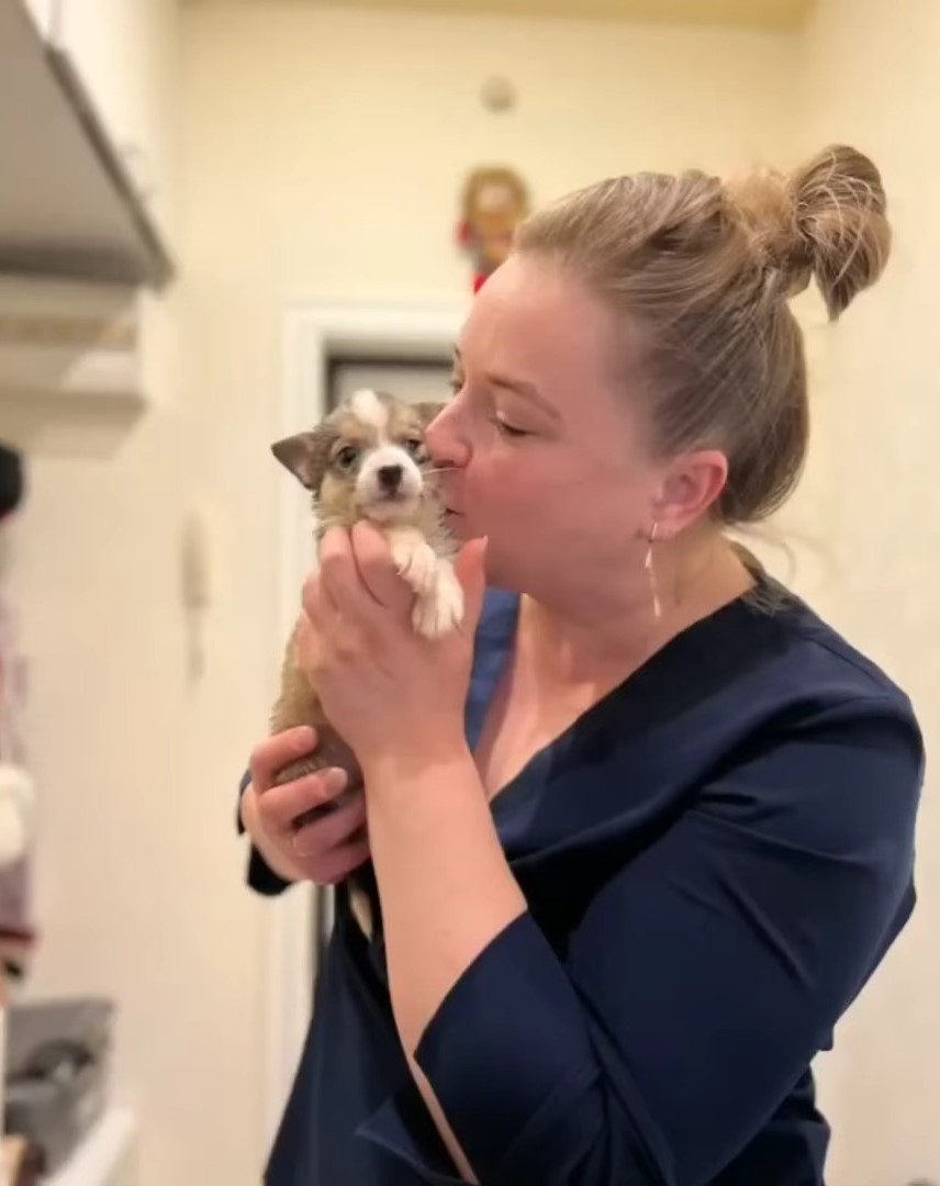 woman kissed tiny puppy