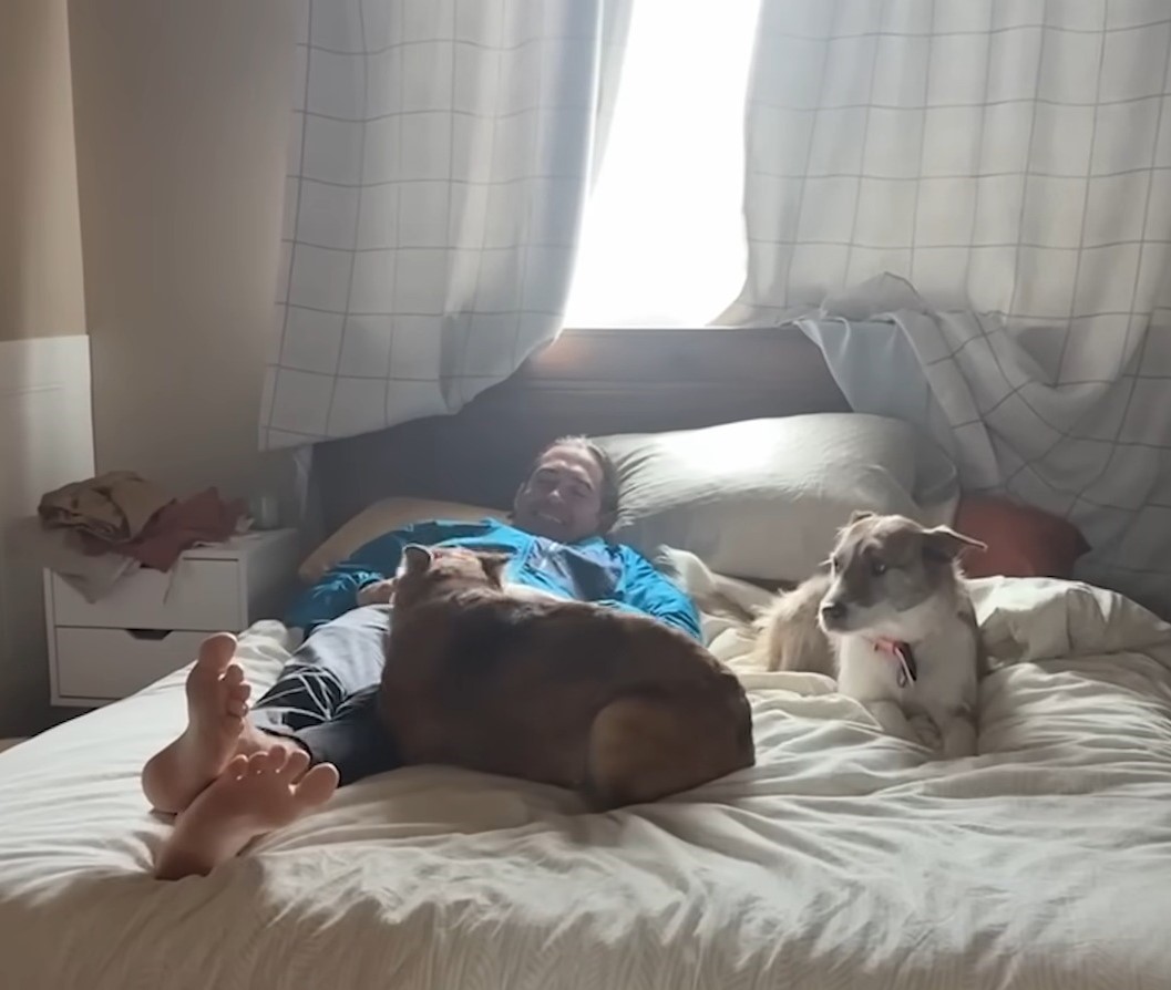 woman on the bed with dogs