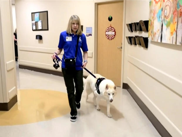 woman walking a white dog