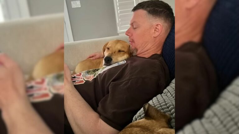 Tamed puppy and owner