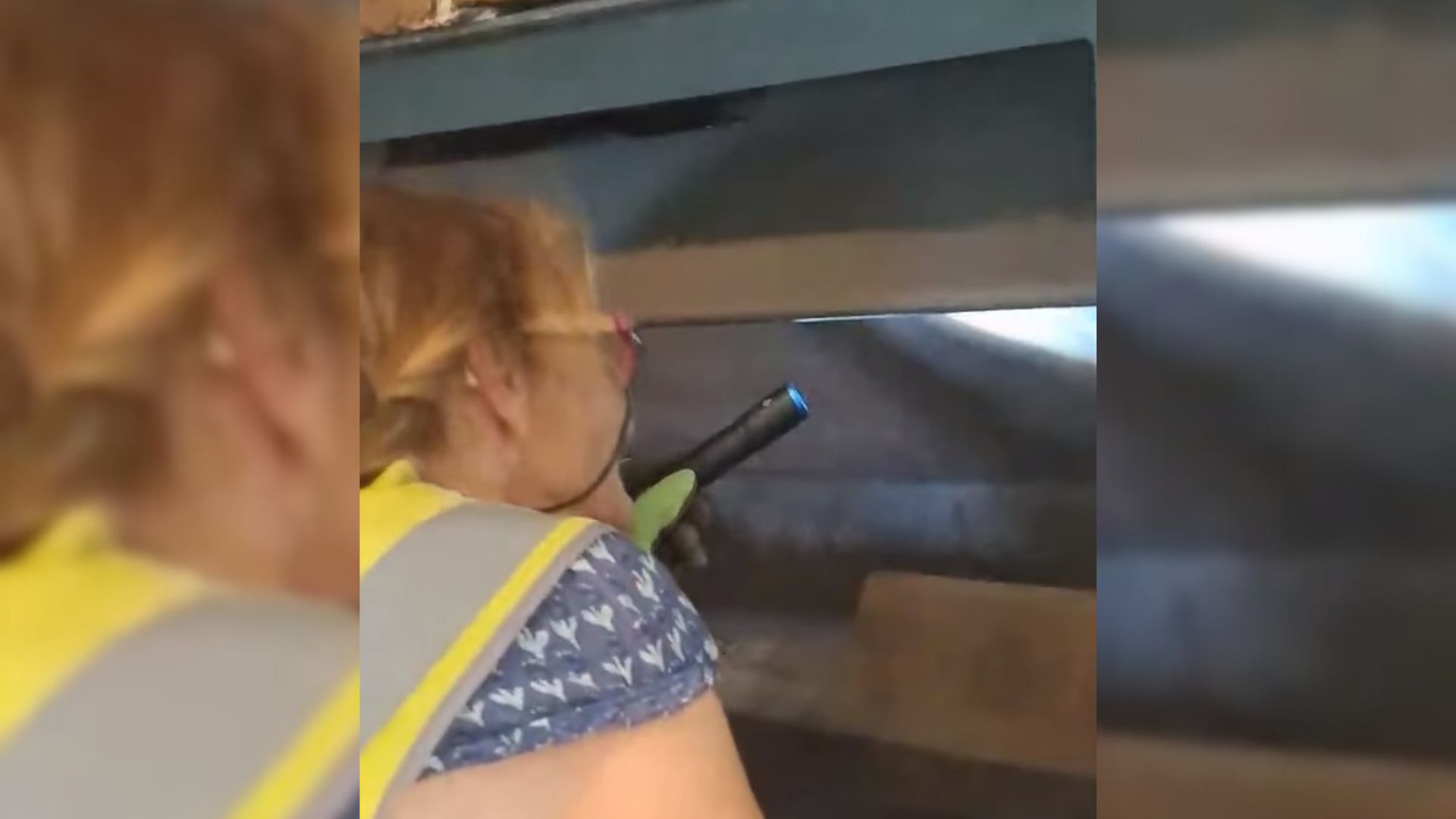 Homeowners Hear Strange Noise Coming From The Fireplace, Then Come To A Shocking Realization