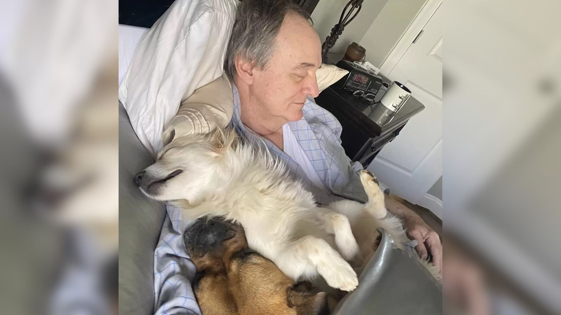 Dad Napping With Neighbor Pups Whenever His Daughter Checks In