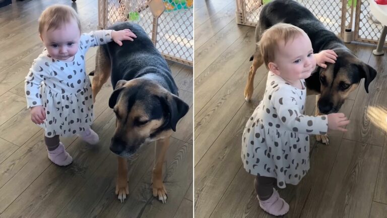 adorable dog with his baby sister
