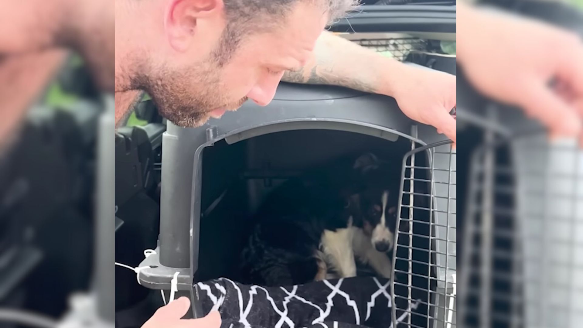 This Sweet Aussie Puppy Had Changed Completely After Meeting Her New Dad