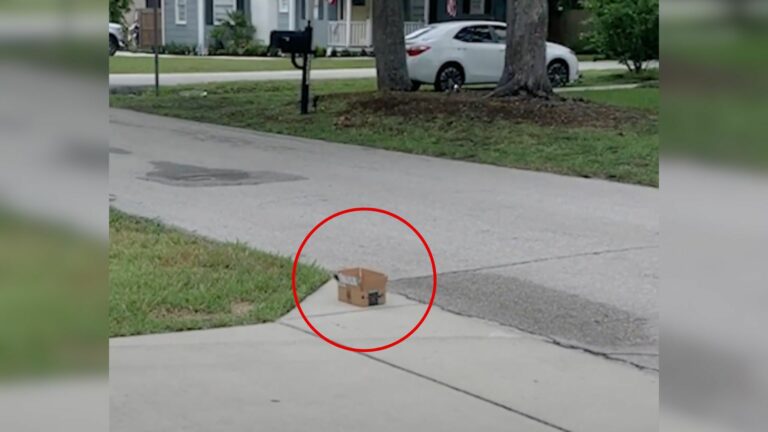 small box on the street