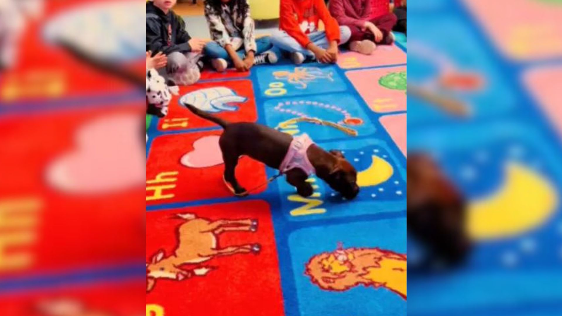 puppy playing on a colorful mat