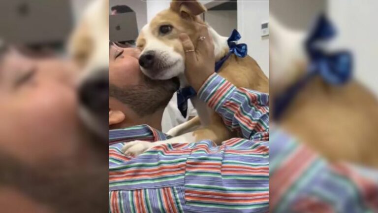 man kissing the dog