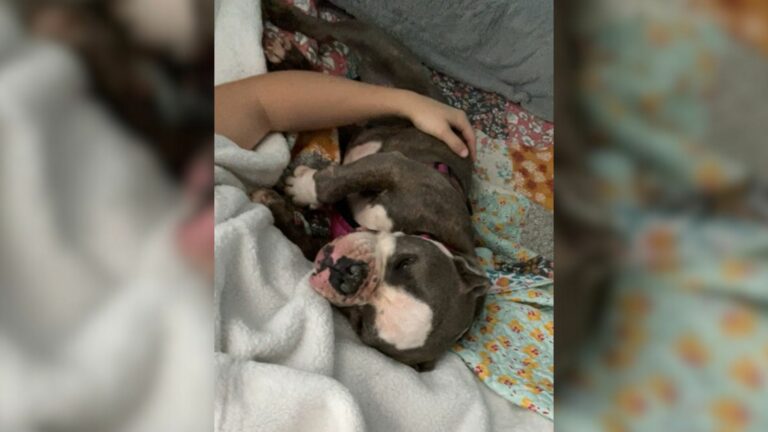 woman and adopted dog