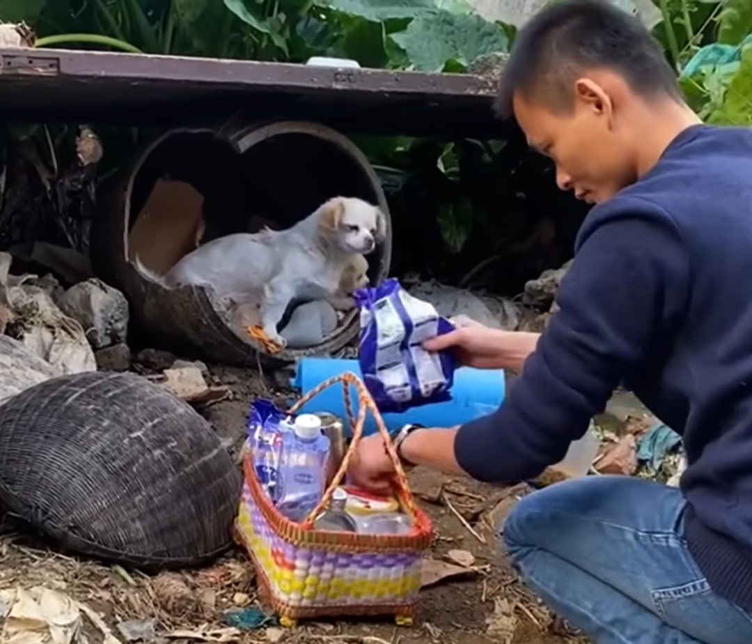 guy and food for dogs