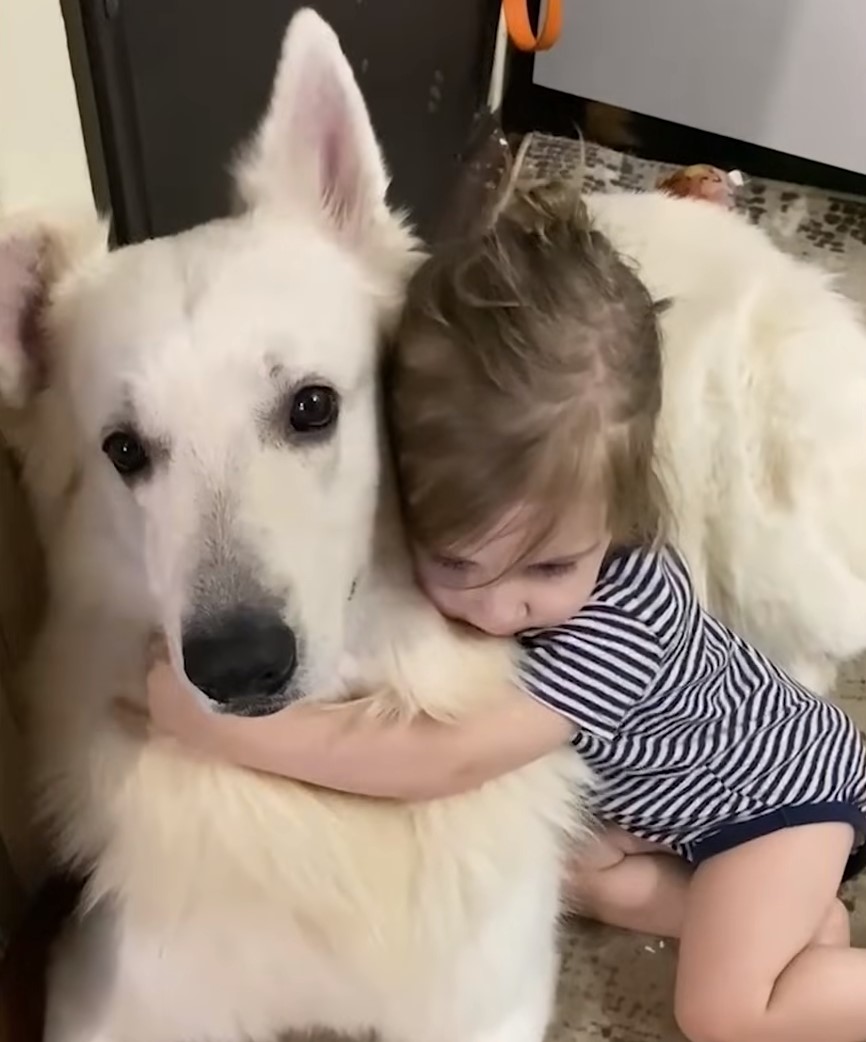 little girl hugging the dog