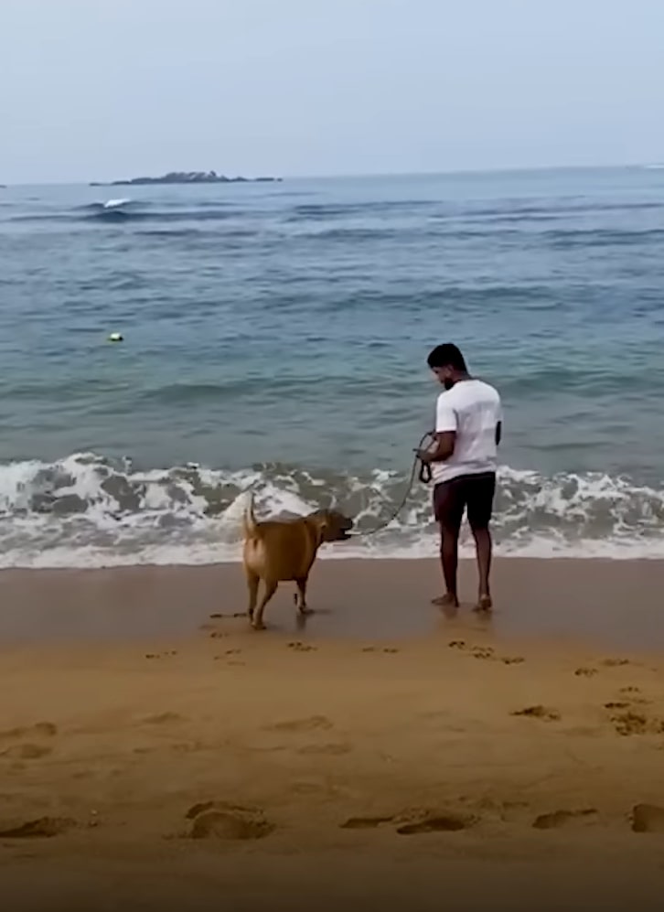 man and dog on the beach