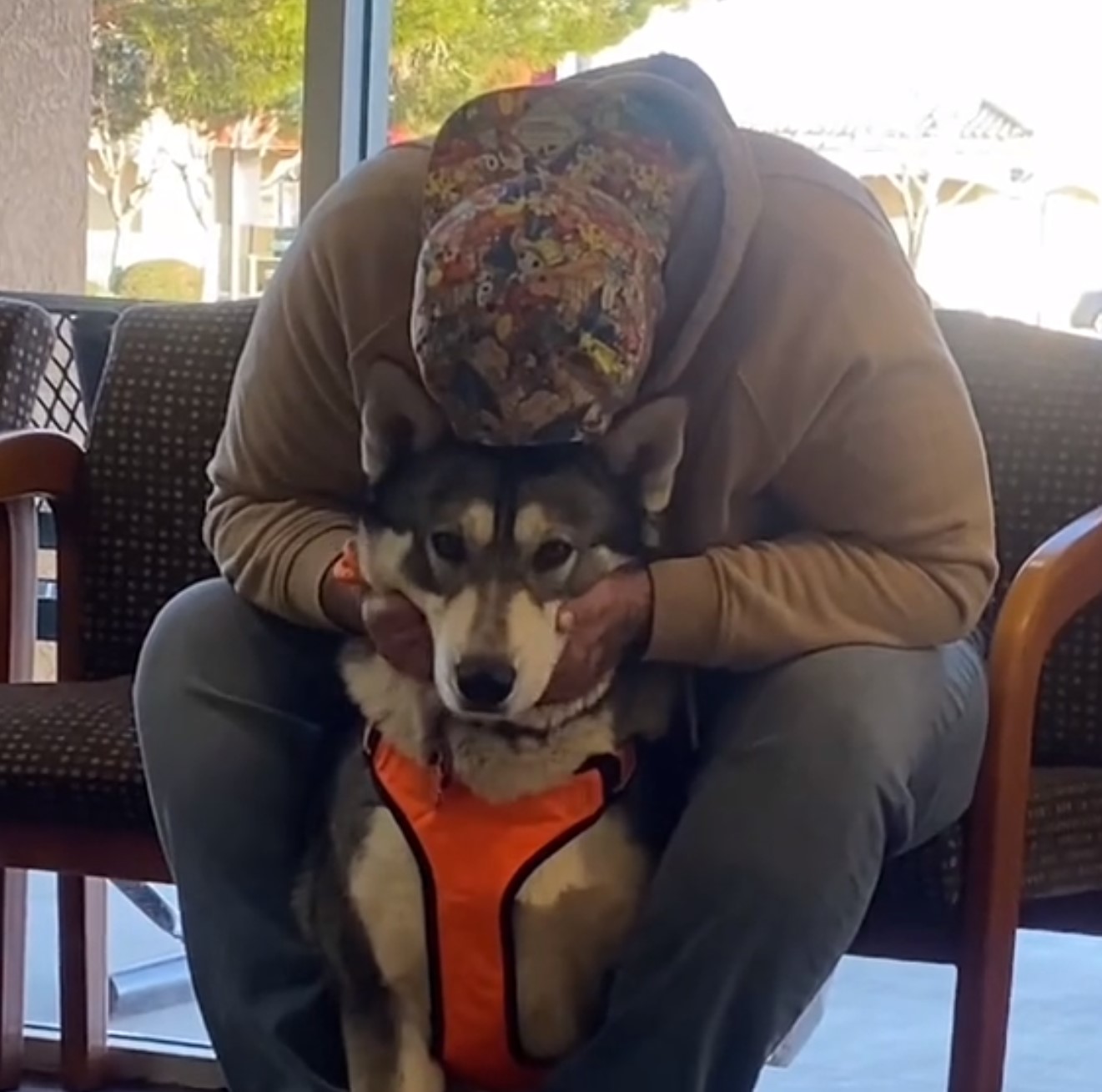 man hugging husky