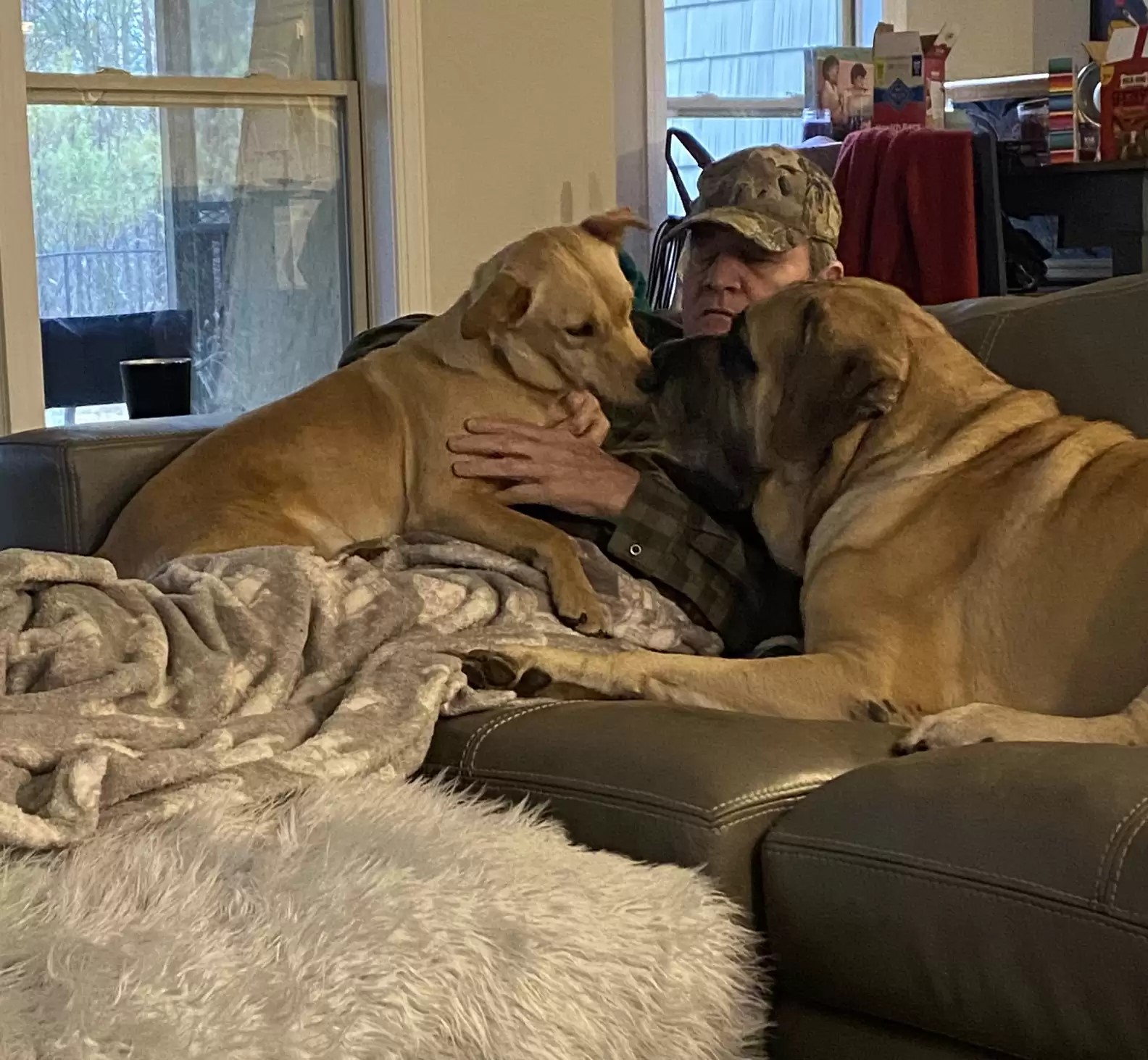 man on the couch with two dogs