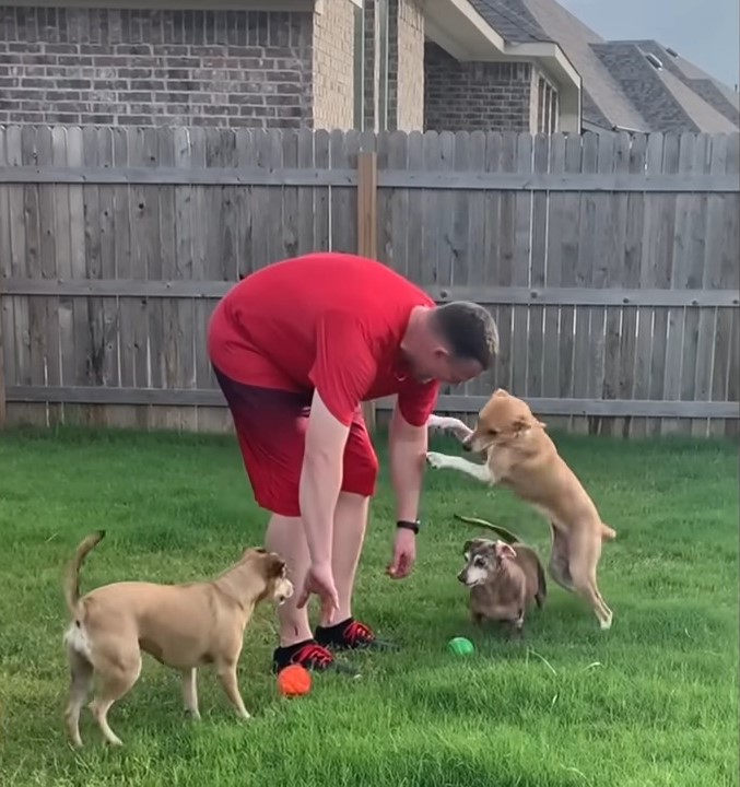 owner playing with dog in a yard