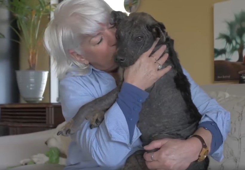 photo of woman holding the dog