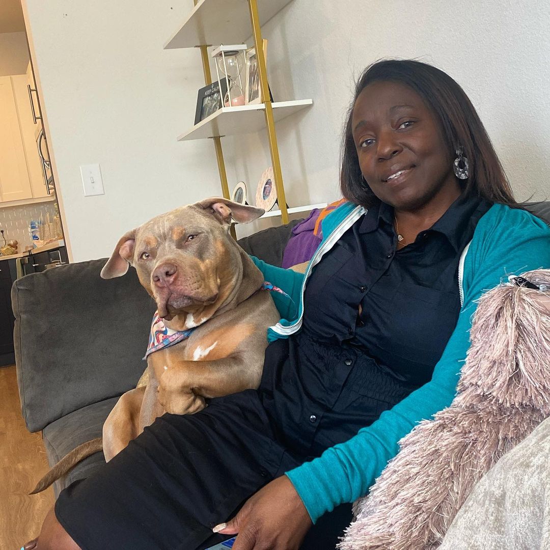 pitbull and woman sitting on couch
