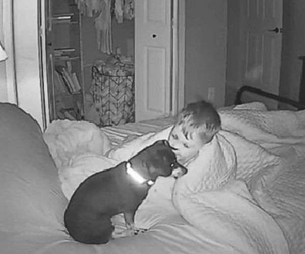 puppy with kid at night
