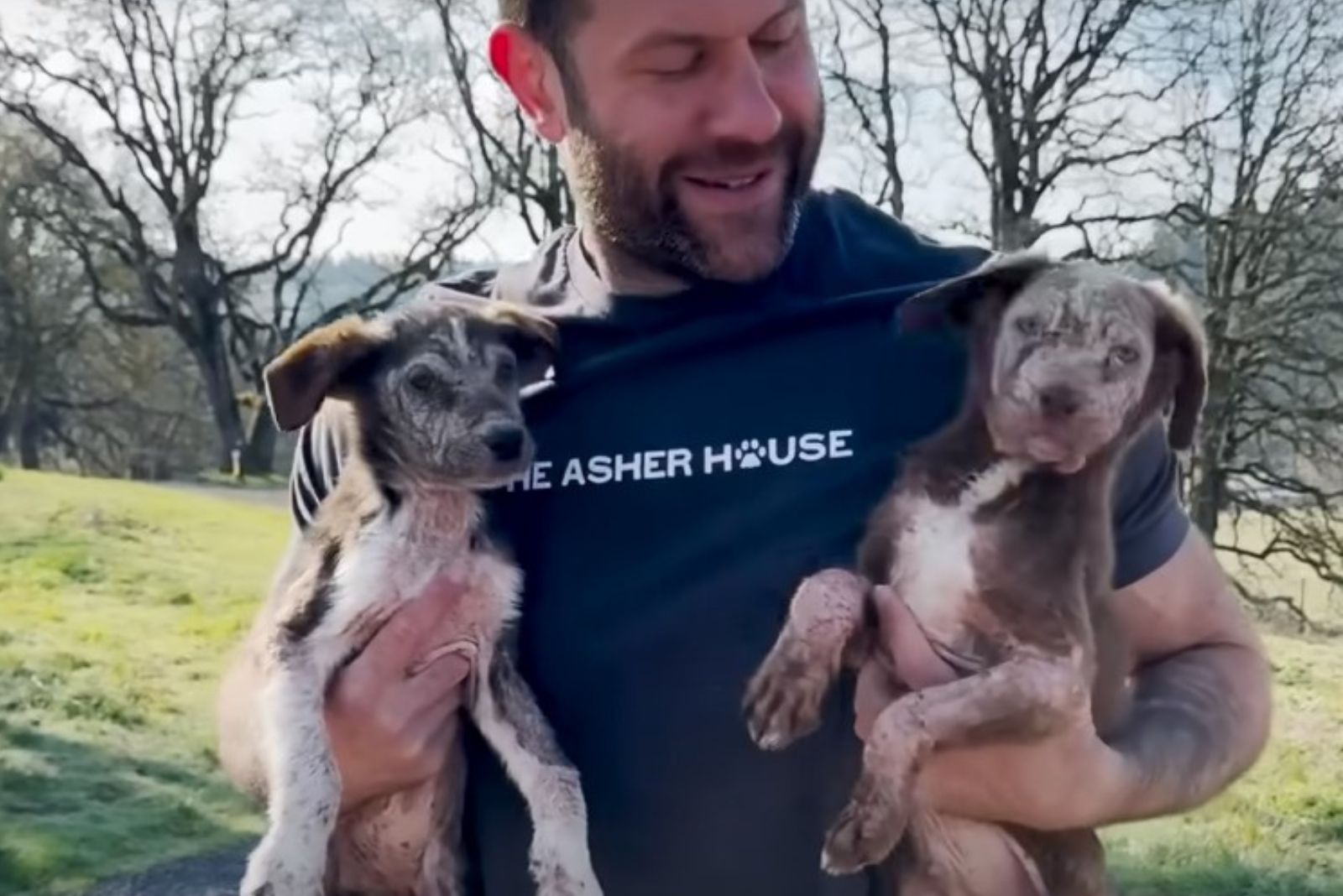 smiling man with puppies in hands