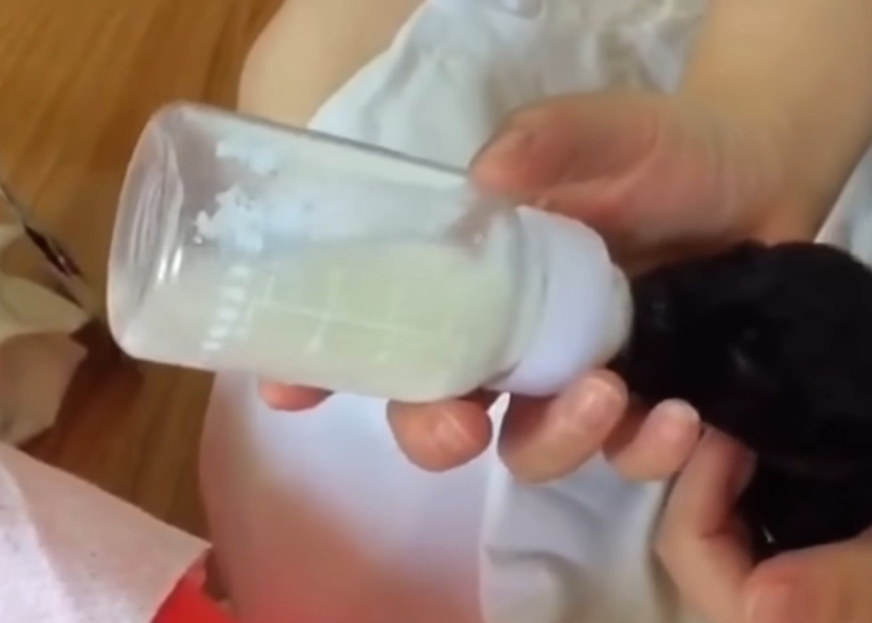 tiny puppy being fed by the milk bottle
