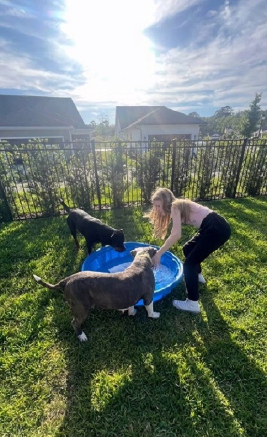 woman and two adult dogs