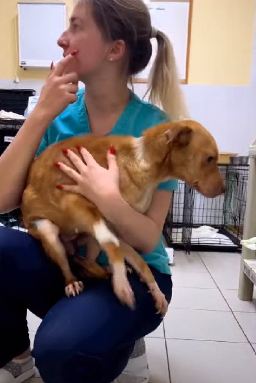 woman holding dog