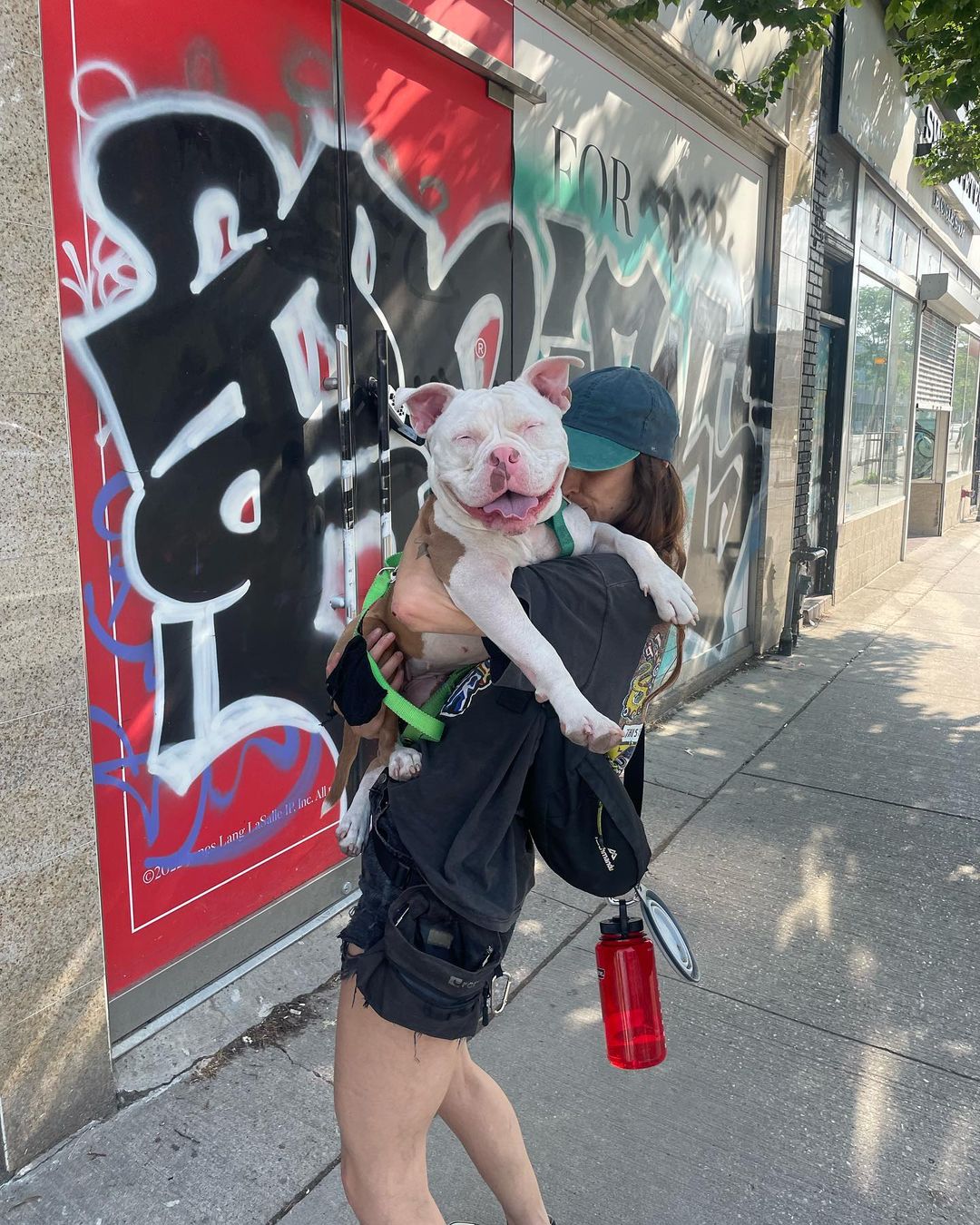 woman holding white adorable dog