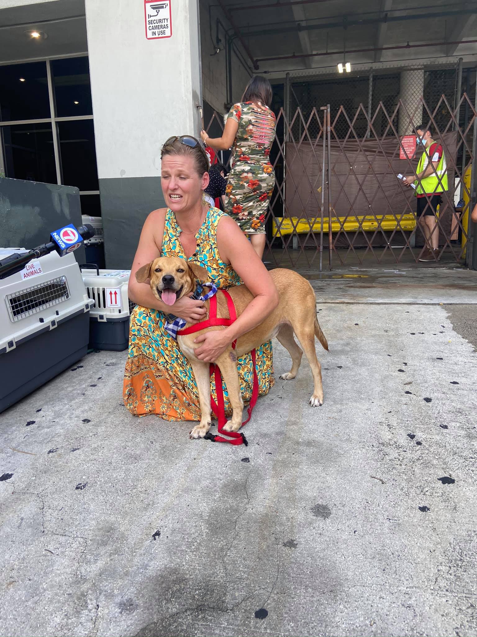 woman hugging the dog