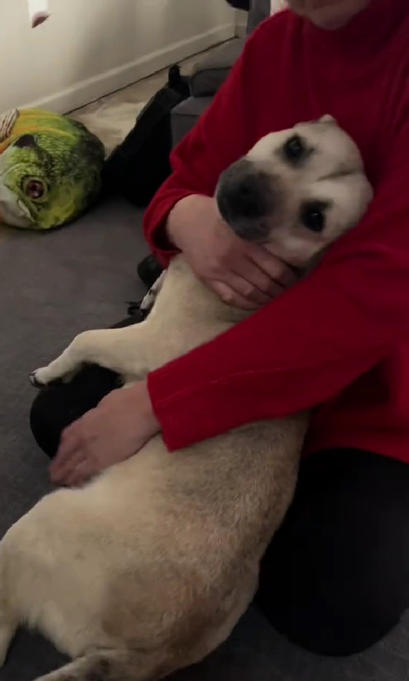 woman hugging white dog